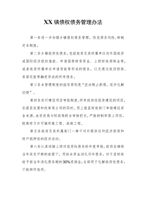 XX镇债权债务管理办法.docx