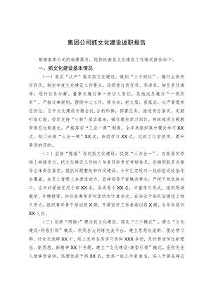 集团公司抓文化建设述职报告.docx