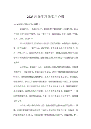 2023应届生顶岗实习心得.docx