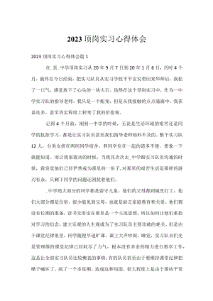 2023顶岗实习心得体会.docx