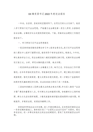 XX镇党委书记2022年度述法报告.docx