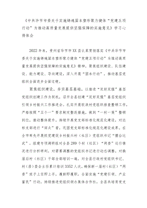 《中共毕节市委关于实施铸魂固本塑形聚力健体“党建五项行动”为推动高质量发展提供坚强保障的实施意见》学习心得体会.docx