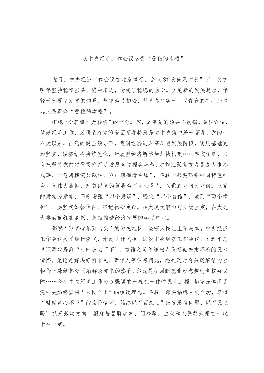 中央经济工作会议精神学习感悟.docx_第1页