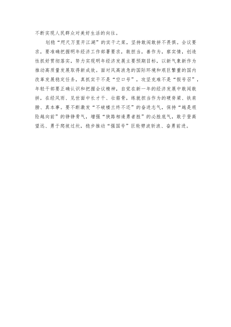 中央经济工作会议精神学习感悟.docx_第2页