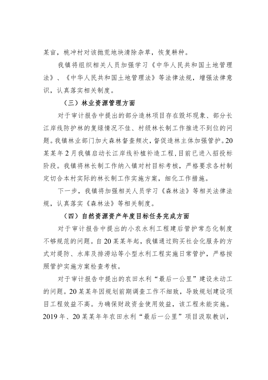2022年某镇党委书记某同志自然资源资产离任(任中)审计整改结果的报告.docx_第2页