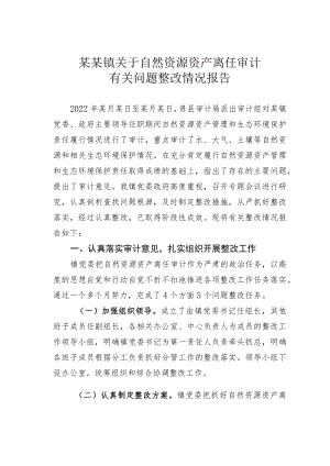 某某镇关于自然资源资产离任审计有关问题整改情况报告.docx