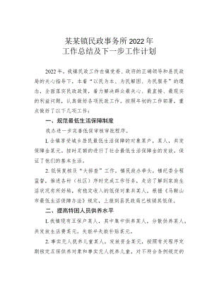 某某镇民政事务所2022年工作总结及下一步工作计划.docx