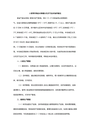 小麦等作物应对寒潮大风天气技术指导意见.docx