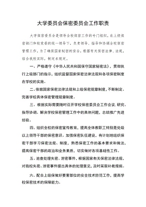 大学委员会保密委员会工作职责.docx