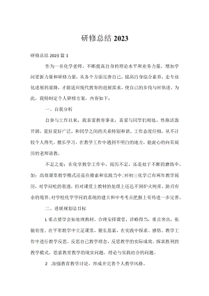 研修总结2023.docx