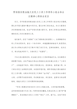 贯彻落实根治拖欠农民工工资工作领导小组全体会议精神心得体会发言.docx