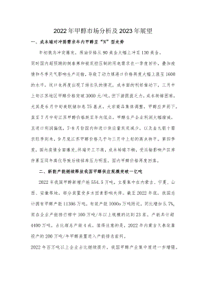 2022年甲醇市场分析及2023年展望.docx