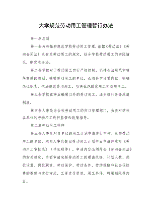 大学规范劳动用工管理暂行办法.docx