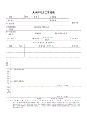 大学劳动用工审批表.docx