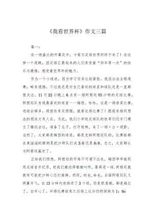 《我看世界杯》作文三篇.docx