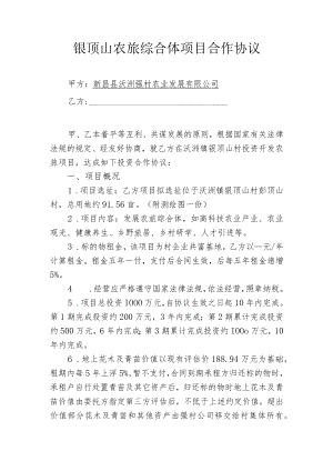 银顶山农旅综合体项目合作协议.docx