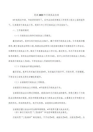 民政2022年行政执法总结.docx