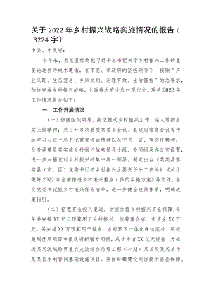 关于2022年乡村振兴战略实施情况的报告.docx