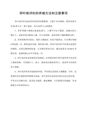 异叶南洋杉的养殖方法和注意事项.docx