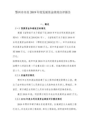 鄂州市市直2019年度发展资金绩效自评报告概述.docx