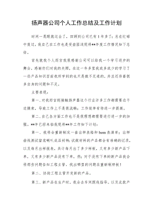 扬声器公司个人工作总结及工作计划.docx