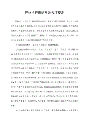 严格执行廉洁从政各项规定.docx