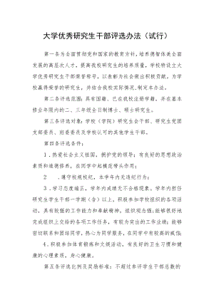 大学优秀研究生干部评选办法(试行).docx