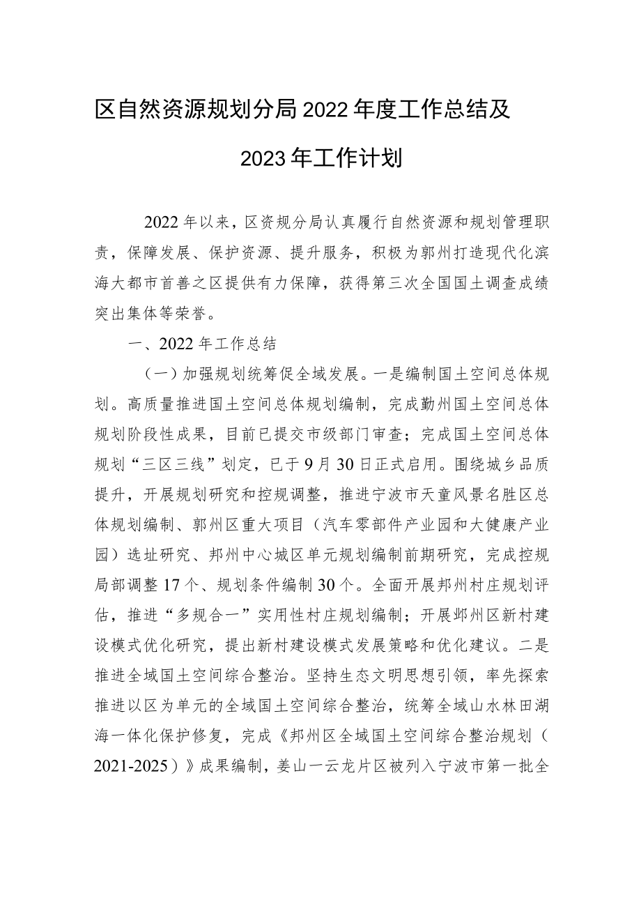 区自然资源规划分局2022年度工作总结及2023年工作计划.docx_第1页