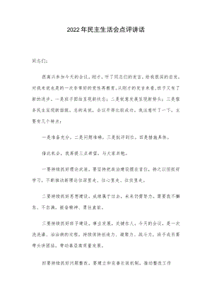 2022年民主生活会点评讲话.docx