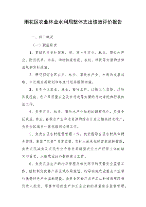 雨花区农业林业水利局整体支出绩效评价报告.docx