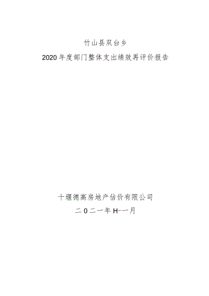 竹山县双台乡2020年度部门整体支出绩效再评价报告十堰德高房地产估价有限公司二O二一年十一月.docx