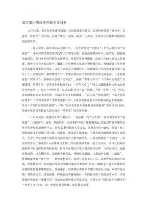 基层团组织改革经验交流材料.docx