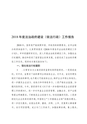 2018年度法治政府建设（依法行政）工作报告.docx
