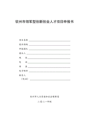 钦州市领军型创新创业人才项目申报书.docx