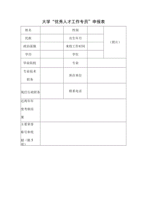大学“优秀人才工作专员”申报表.docx