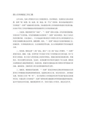 国土空间规划工作汇报.docx