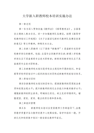 大学新入职教师校本培训实施办法.docx