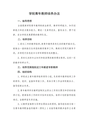 学院青年教师培养办法.docx