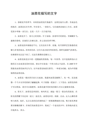 油菜花描写的文字.docx