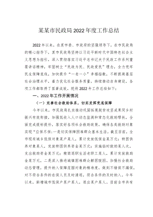 某某市民政局2022年度工作总结.docx