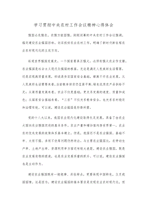 学习贯彻中央农村工作会议精神心得体会.docx