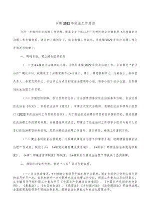 乡镇2022年依法工作总结.docx
