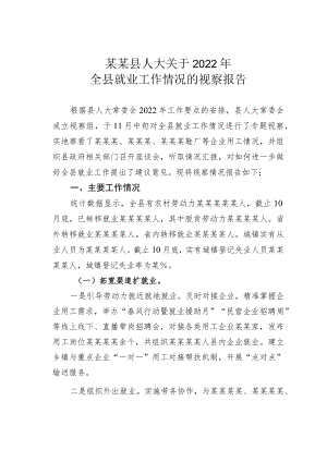 某某县人大关于2022年全县就业工作情况的视察报告.docx