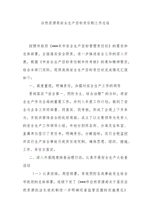 自然资源局安全生产目标责任制工作总结.docx
