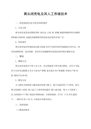 黄头闭壳龟及其人工养殖技术.docx