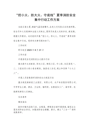 “控小火、防大火、守底线”夏季消防安全集中行动工作方案.docx