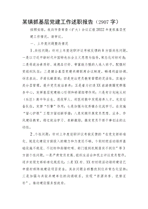 某镇抓基层党建工作述职报告.docx