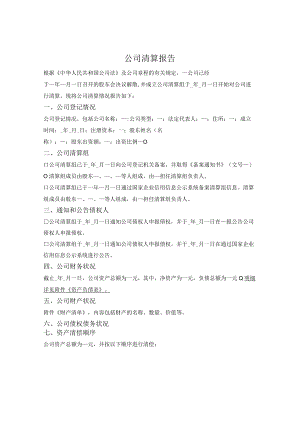 公司清算报告.docx