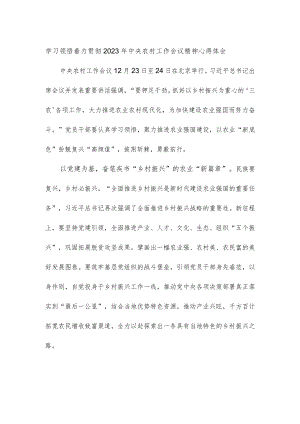 学习领悟着力贯彻2023年中央农村工作会议精神心得体会.docx