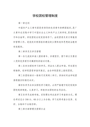 学校团校管理制度.docx